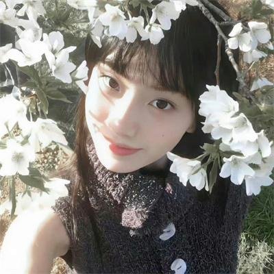 孤狼之血