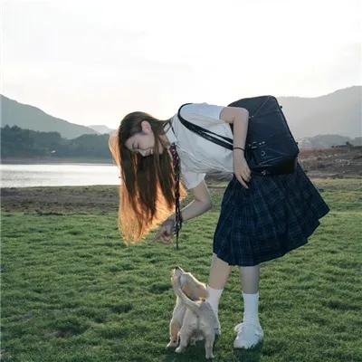 忍者神龟第六季